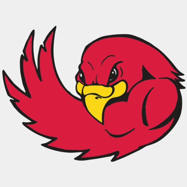 AR FALCON 18 RC Thumbnail